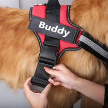 Load image into Gallery viewer, 50% OFF Ends Today ⏰ ! LeashWalk™ NO Choke Dog Harness with Customized Name Tag 🐕