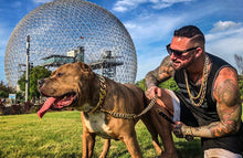 Load image into Gallery viewer, 20% OFF Ends Today ⏰ ! PremiumPet™ Gold Chain for Dogs
